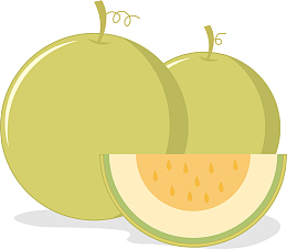新鲜哈密瓜