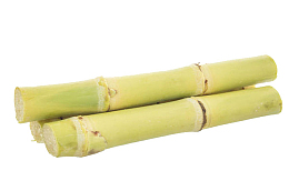 鲜嫩多汁新鲜竹蔗