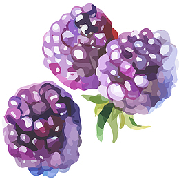 多汁浆果水彩插画