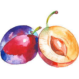 新鲜李子卡通插画
