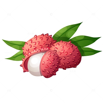 荔枝矢量素材_荔枝矢量图片元素-觅元素
