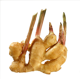 生姜特写