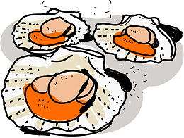 新鲜肉质矢量扇贝