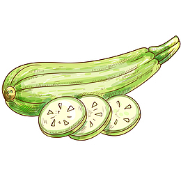 新鲜西葫芦免抠PNG