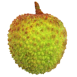 妃子笑荔枝微距特写