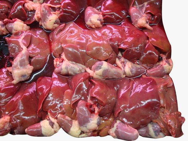 干净的鸡内脏鸡肝
