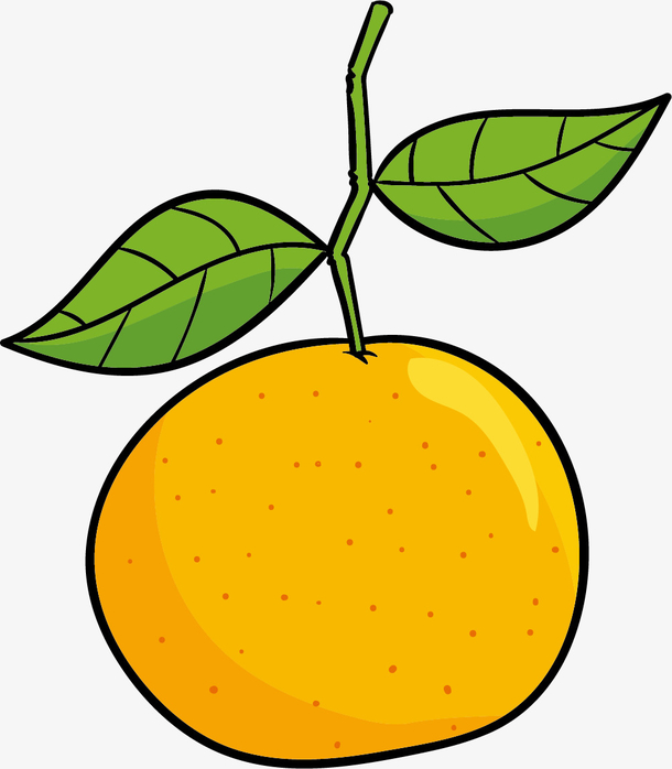 绿叶矢量新鲜果实