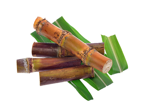 新鲜竹蔗png饮品芒果酸奶png红糖黄糖白糖冰糖psdpng一盘白糖png精制