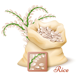 稻穗和大米矢量插画
