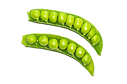 果粒饱满的大豌豆