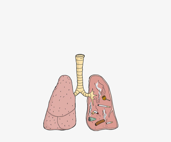抽烟的肺卡通图片图片