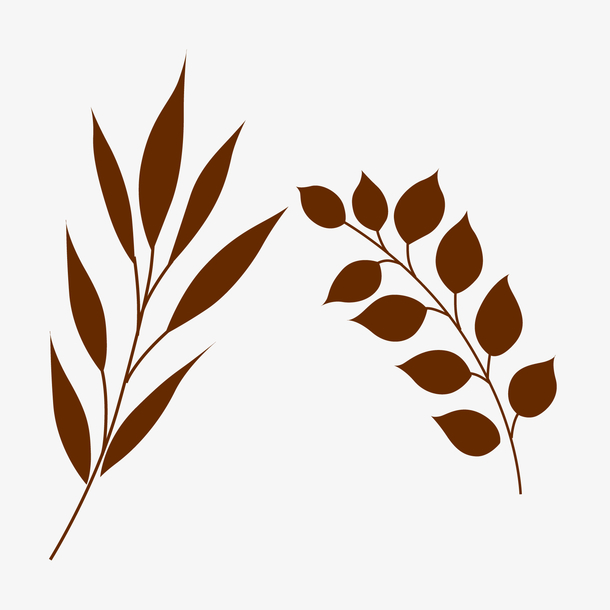 手绘叶子免抠素材免费下载_觅元素51yuansu.com