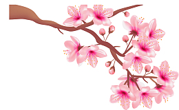 浪漫精美粉色桃花