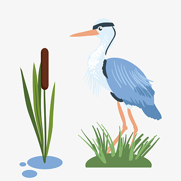 卡通丹顶鹤矢量图下载