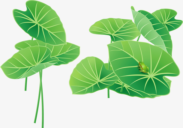 卡通绿色荷叶