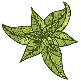 雕刻风格茶叶插画