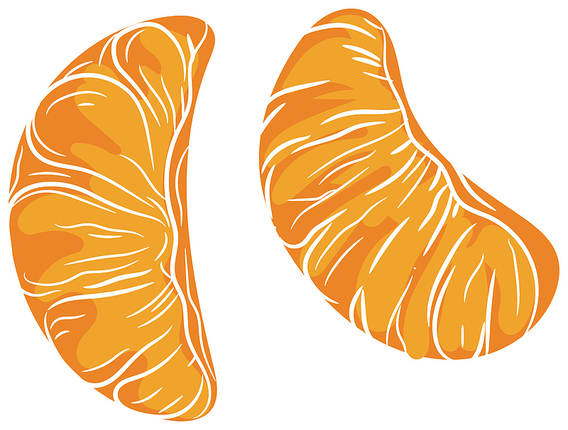 矢量图卡通橘子瓣