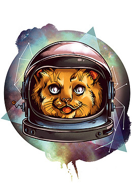 猫咪星空特色印花