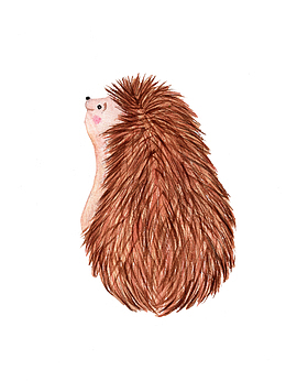 卡通手绘图案可爱的小刺猬