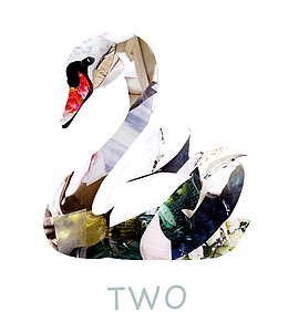 孵蛋的鸭子PNG下载