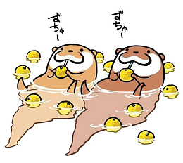 可爱小水獭