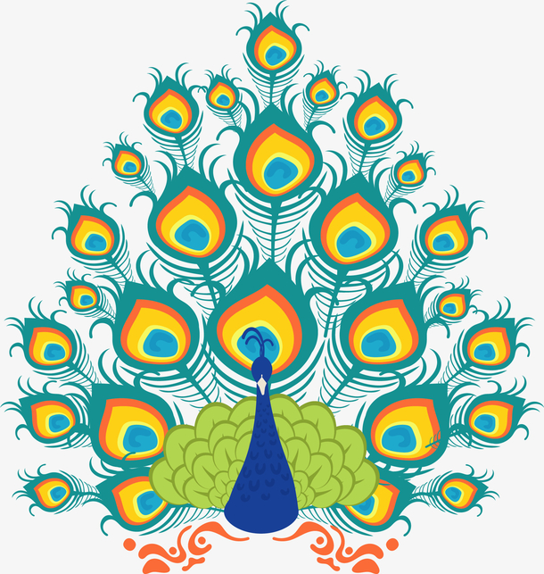 精美尾巴美丽孔雀