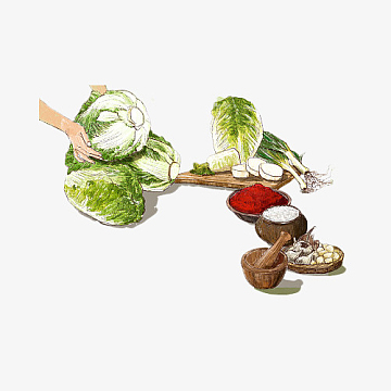 卡通插画腌制辣白菜