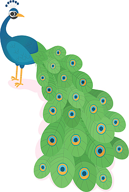 美丽绿色尾巴孔雀