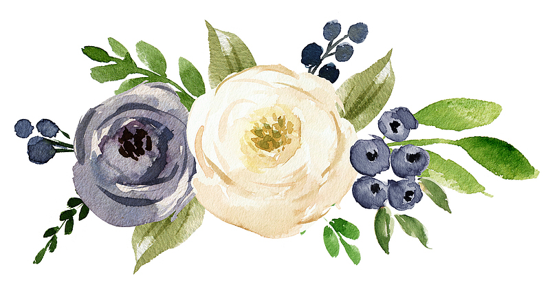 蓝莓和美丽花朵水墨图