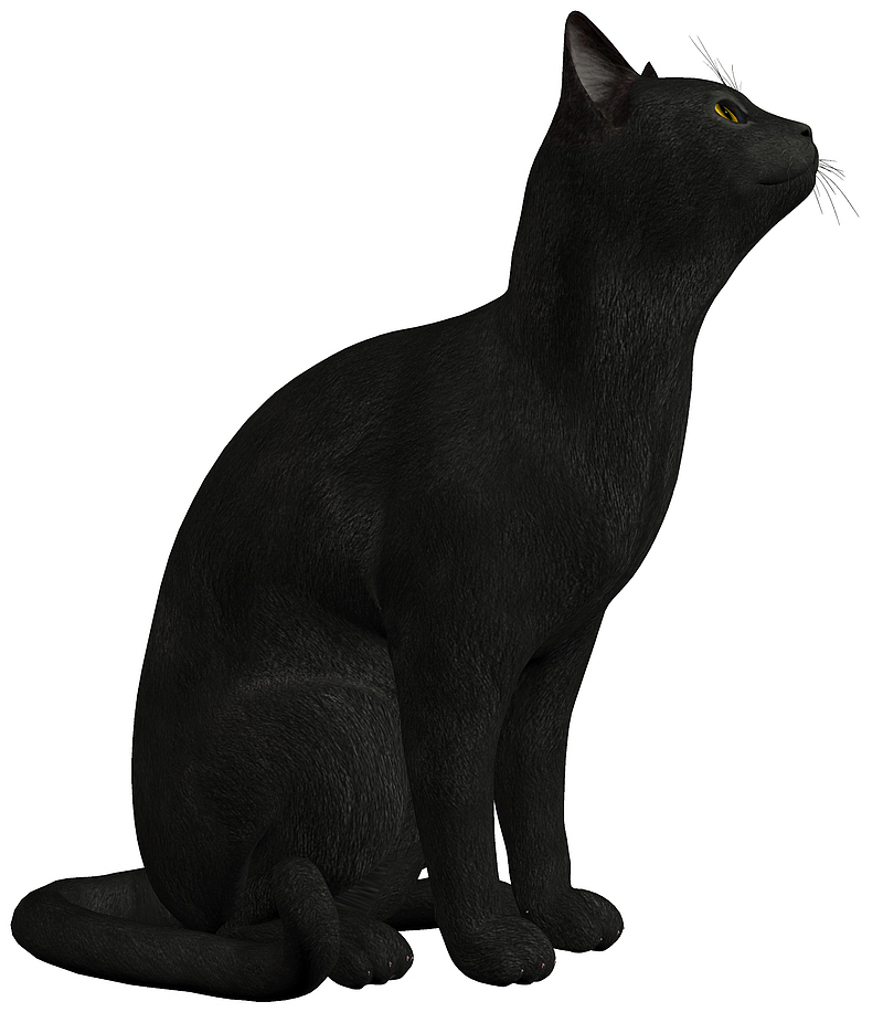 黑色手绘坐着的猫咪png