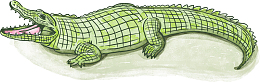 手绘风格浅绿色鳄鱼