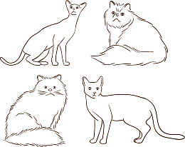 手绘宠物猫咪矢量素材