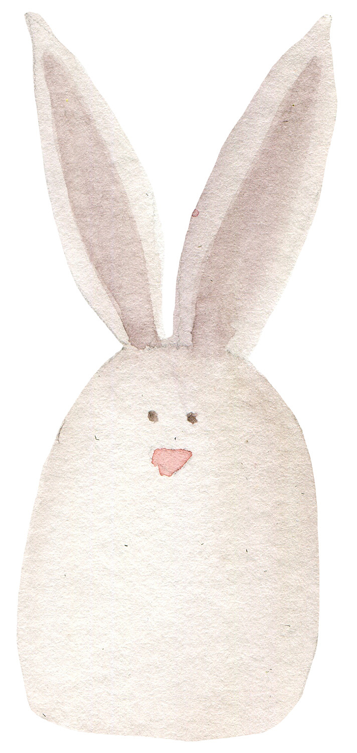 白色手绘兔子动物