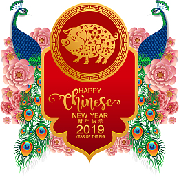 新年时尚边框孔雀背景