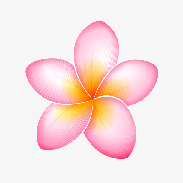 粉红花瓣免抠素材免费下载_觅元素51yuansu.com