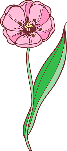 简笔花朵装饰