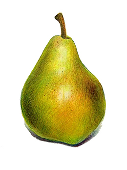 卡通鸭梨