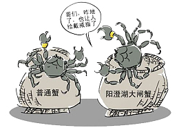 澄阳湖大闸蟹