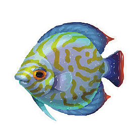 海底的小精灵