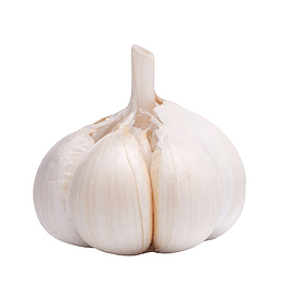 白色健康佐料大蒜头实物