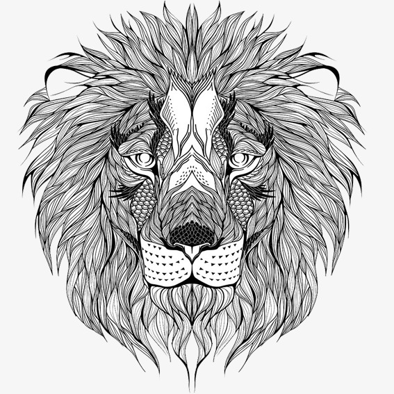 狮头的画法图片