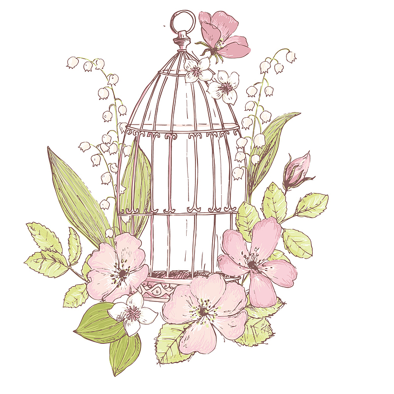 粉色花朵鸟笼唯美手绘