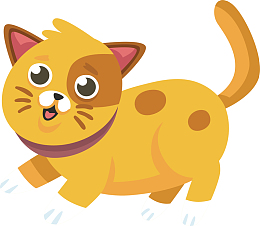 黄色的小猫
