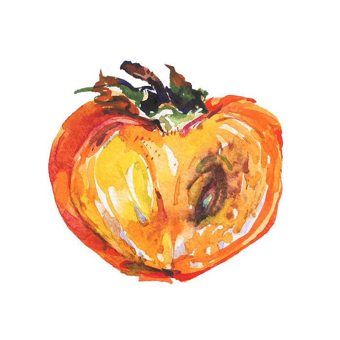 成熟柿子水彩插画