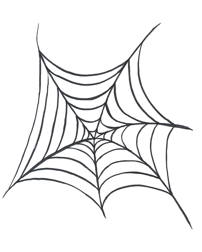 卡通蜘蛛网矢量图下载