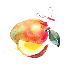 手绘芒果矢量图下载