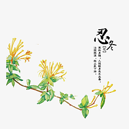 抓方中药卡通元素_手绘/卡通图片免费下载_手绘/卡通素材_觅元素