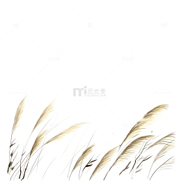 卡通芦苇PNG下载