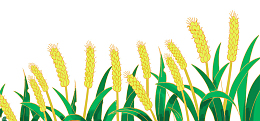 手绘装饰插图小满节气