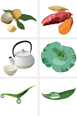 白露插图矢量图下载